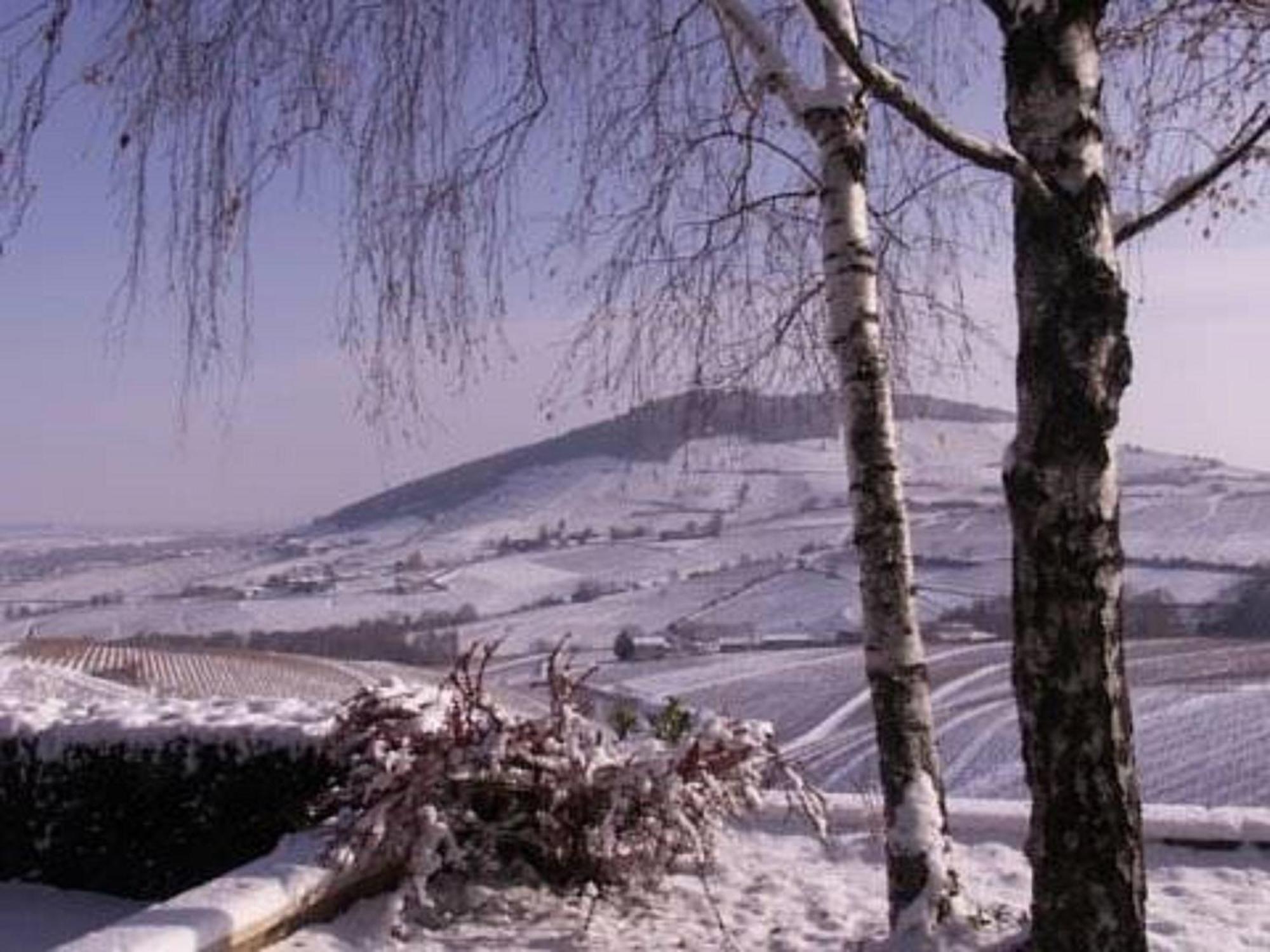 La Croix De Saburin Bed & Breakfast Quincie-en-Beaujolais Bagian luar foto