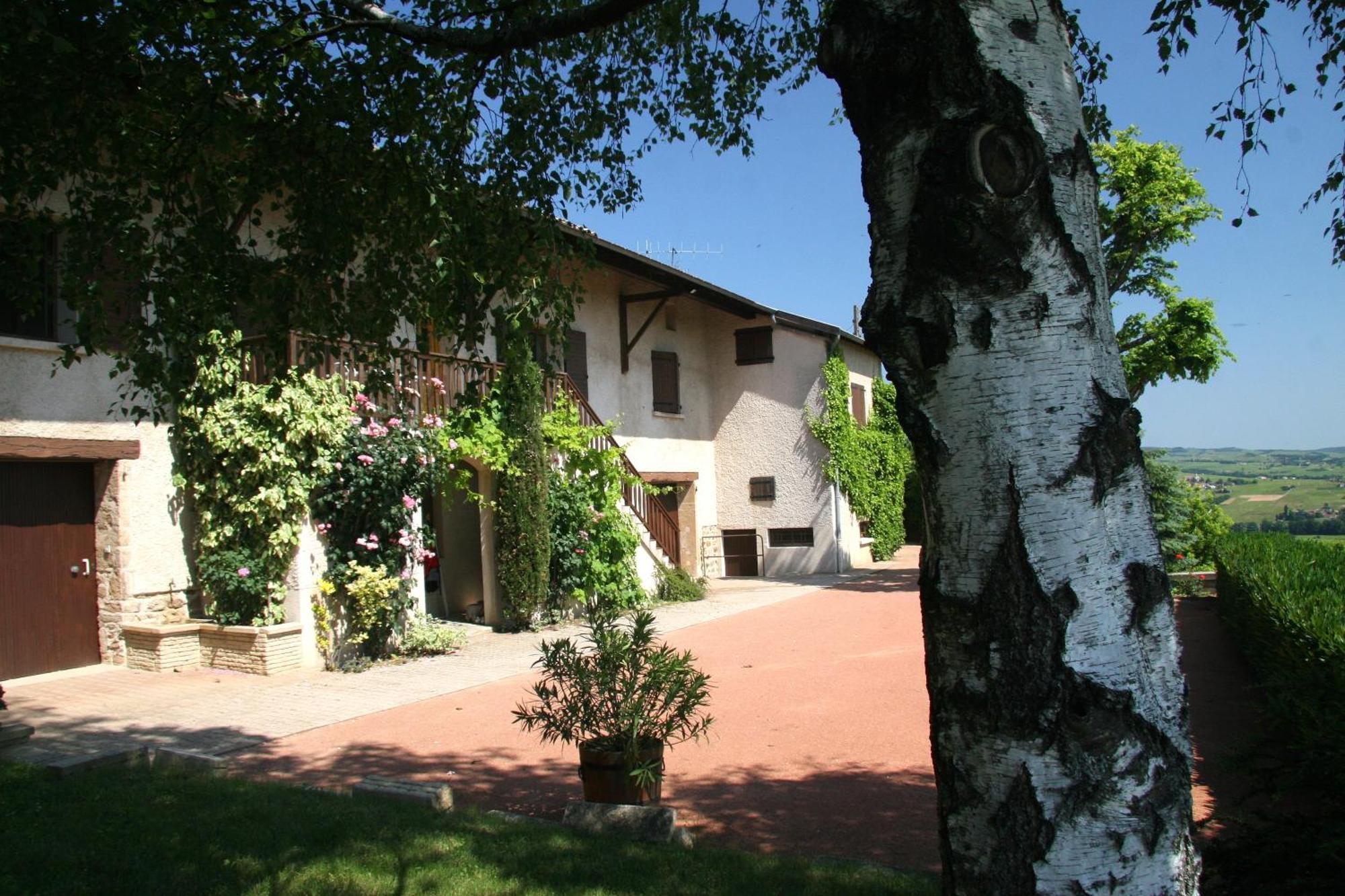 La Croix De Saburin Bed & Breakfast Quincie-en-Beaujolais Bagian luar foto